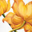 «King Yellow», impression sur toile-29483225-73649408-73649403