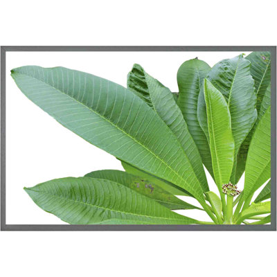 Aaradhy Green Leaves on White Single Picture Frame Wall Art