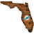 Miami Dolphins