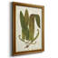 «Garden Ferns I», reproduction sur toile encadrée-1877796591