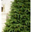 Sapin de Noël artificiel Evergreen Valley Fraser Green avec 480 lumières blanc chaud-1555009054
