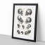 Human, Monkey & Ape Skulls - Picture Frame Drawing Print-55763738-55763741