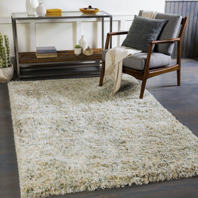 Indoor Rug