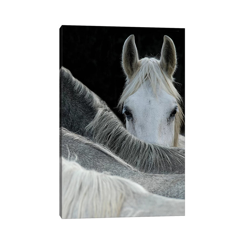 Look 1 Piece Wall Art on Canvas, 30.48 cm H x 45.72 cm W, Wrapped Canvas