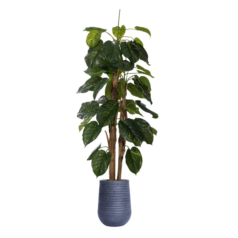 78,08 "plante artificielle Scindapsus aureus en pot, Noir