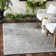 Bismark Performance Oriental Indoor/Outdoor Area Rug