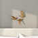 Polystone Metallic 3D Floating Bird Home Wall Decor