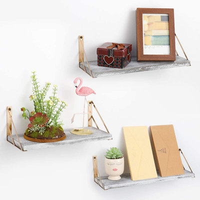 Latoyna 3 Piece Floating Shelf
