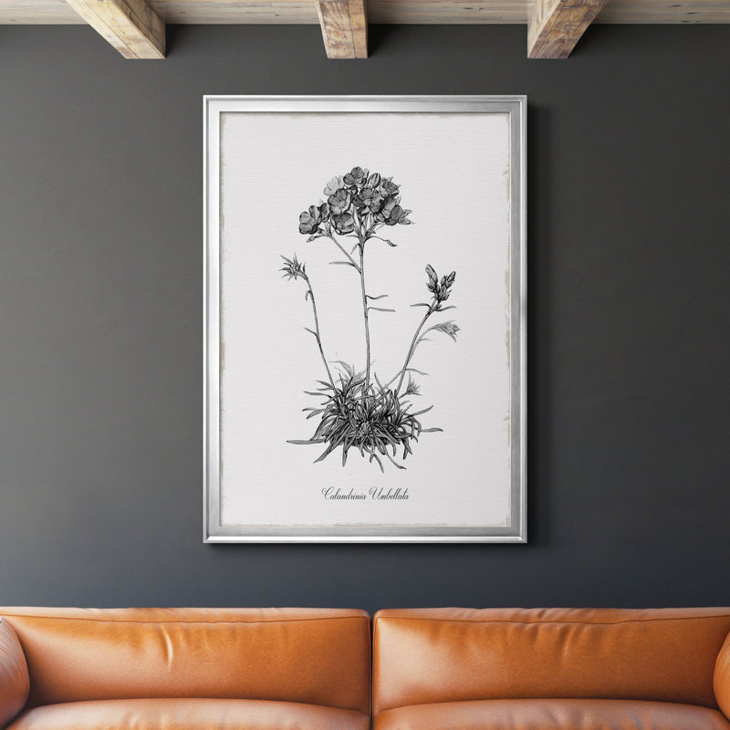 Simply Caladrinia - Cadre photo, impression sur toile, H 30,5 po x l 42,5 po x P 1,5 po, Argent