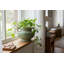 Green Speckled Ceramic Jardinière Planter