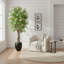 Bloom Lacquer Tree in Fiberstone Pot