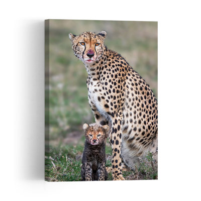 Cheetah Mother And Cub Contemporary Wall Art Print 1 Piece Wrapped Canvas Wall Art