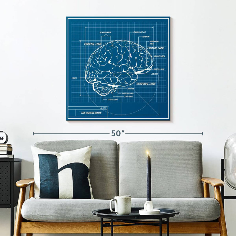 Schéma du cerveau humain Keiri, H 30 po x l 30 po