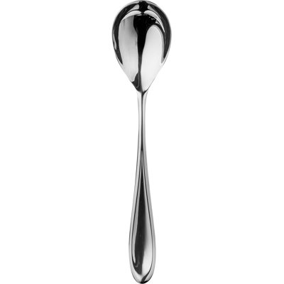 Forma Stainless Steel Serving Spoon