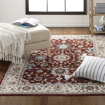 Oza Oriental Handwoven Machine Washable Area Rug in Grey/Burgundy