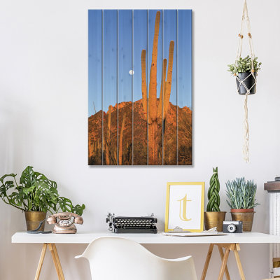 Cactus Saguaro dans un paysage désertique, désert de Sonora, Monument national de Saguaro, Arizona par Konrad Woth - reproduction sur bois sans cadre