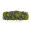 Assorted Sedum and Moss Arranged in Wood Planter-1445777727