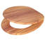 Soft Close Elongated Hard Toilet Seat