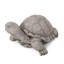 Statue de tortue majestueuse d'extérieur en gris foncé - aucun assemblage requis