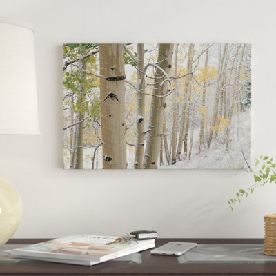 «Quake Aspen Trees with Snow, Gunnison National Forest, Colorado» par Tim Fitzharris, reproduction sur toile tendue sur châssis