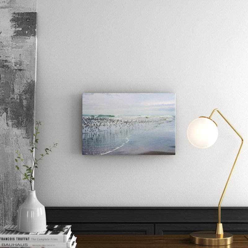 Sea Birds by Sylvia Cook - Wrapped Canvas Print, 30 cm H x 45 cm W x 3.81 cm D