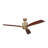 Ridley II 60" Indoor Stainless Steel Ceiling Fan with Cherry Blades and Integrated LED with Wall Control-82941945