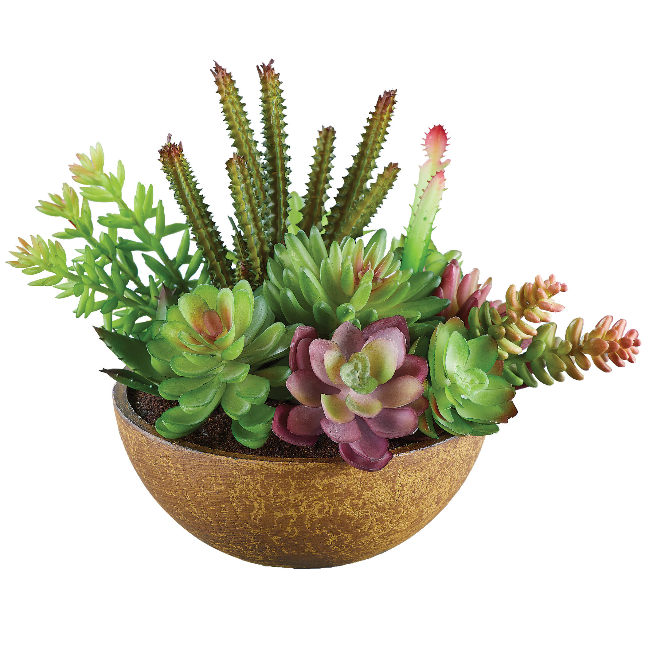 Primrue Mixed Floral Arrangement in Pot & Reviews | Wayfair