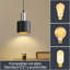 Amarian 1 - Light Matte Black Drum Pendant