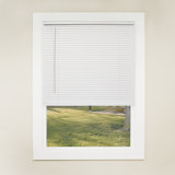 Light Filtering Horizontal/Venetian Blind