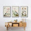 Oiseaux antiques dans la nature IV, 3 pièces-1662166646-1662166648