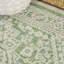 Tapis intérieur / extérieur crème / vert Aaleayah Medallion-1505997849