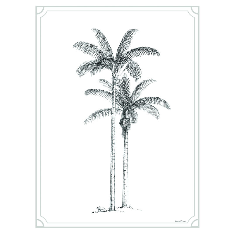 «Timeless Palms» par Lettered & Lined - reproduction sur toile tendue, L 12 po x H 16 po
