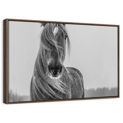 Cheval d'hiver
