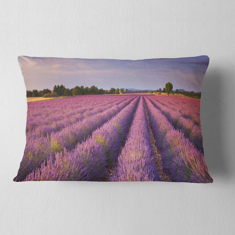 Coussin Schafer