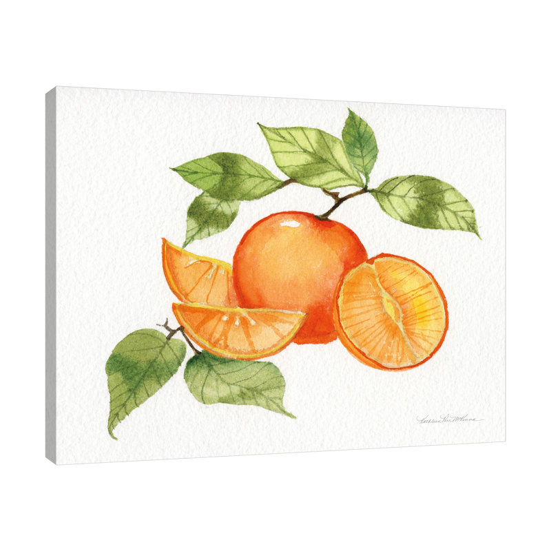 Impression sur toile tendue Aylei «Citrus Garden VIII», H 36 po x l 45 po x P 1,5 po