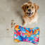 Tapis d'automne Fall Art