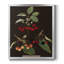Toile encadrée de qualité supérieure Brookshaw Cherries-1883108034-1883108035