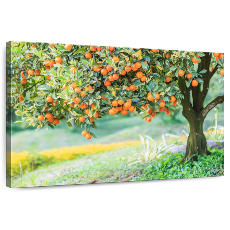 Harnek Orange Tree, 8" H x 12" W