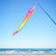 Fiesta Spinsock Windsock