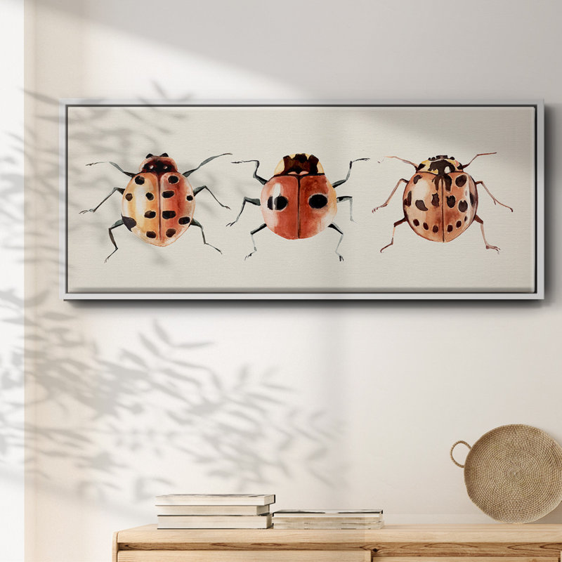 Ladybug Display II- Framed Canvas