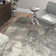 Tapis gris / ivoire Angiens