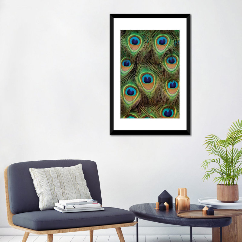 «Indian Peafowl, mâle, plumes de la queue, Native to Asia», impression sur toile, H 32 po x l 24 po x P 1 po, Blanc