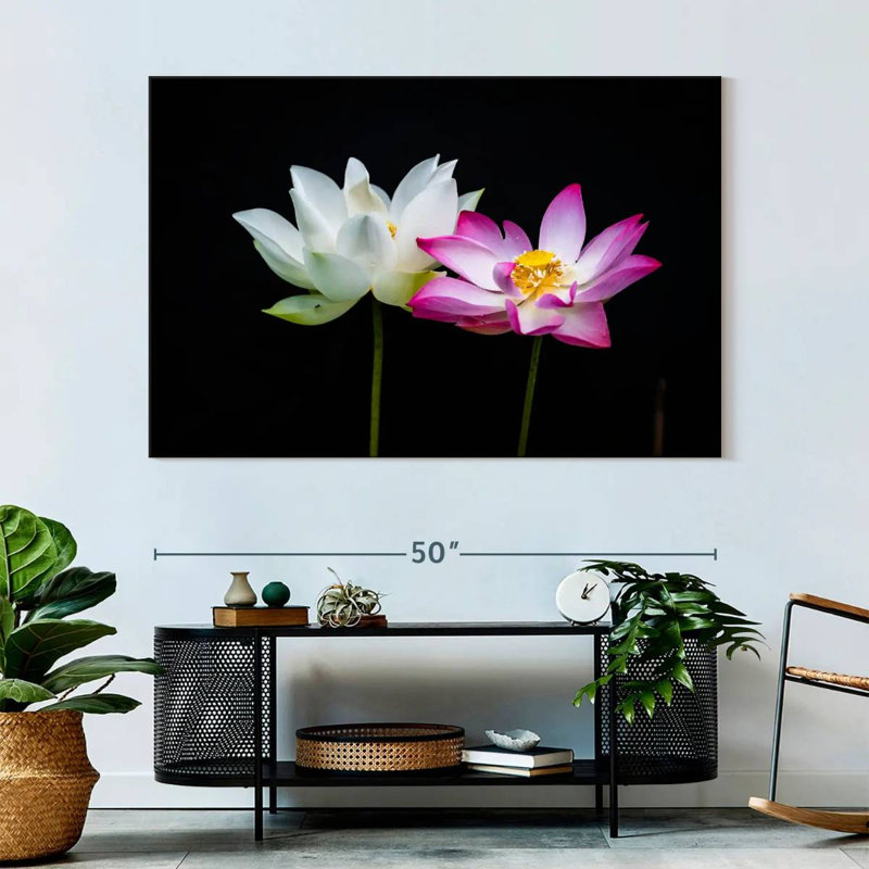 Pink And White Lotus Flowers