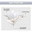 Ensemble de courtepointe surdimensionnés, couvre-lit léger blanc de 128 po x 120 po pour ensemble de literie édredon toutes saisons - ensembles de couvre-lit-113937836