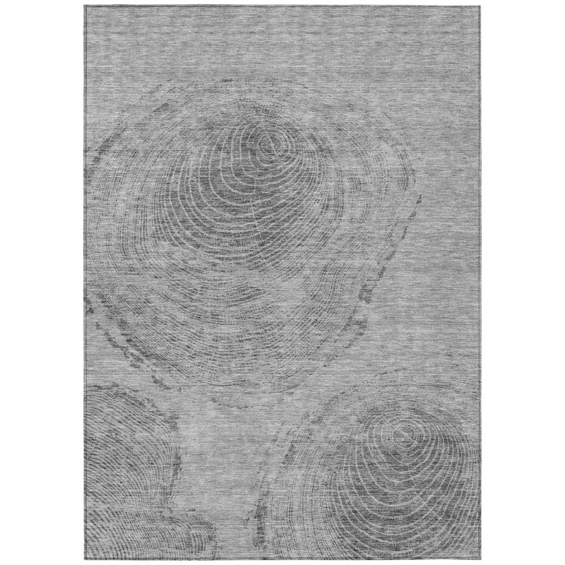 Tapis intérieur gris gris / gris anthracite, Rectangulaire 3 pi x 5 pi