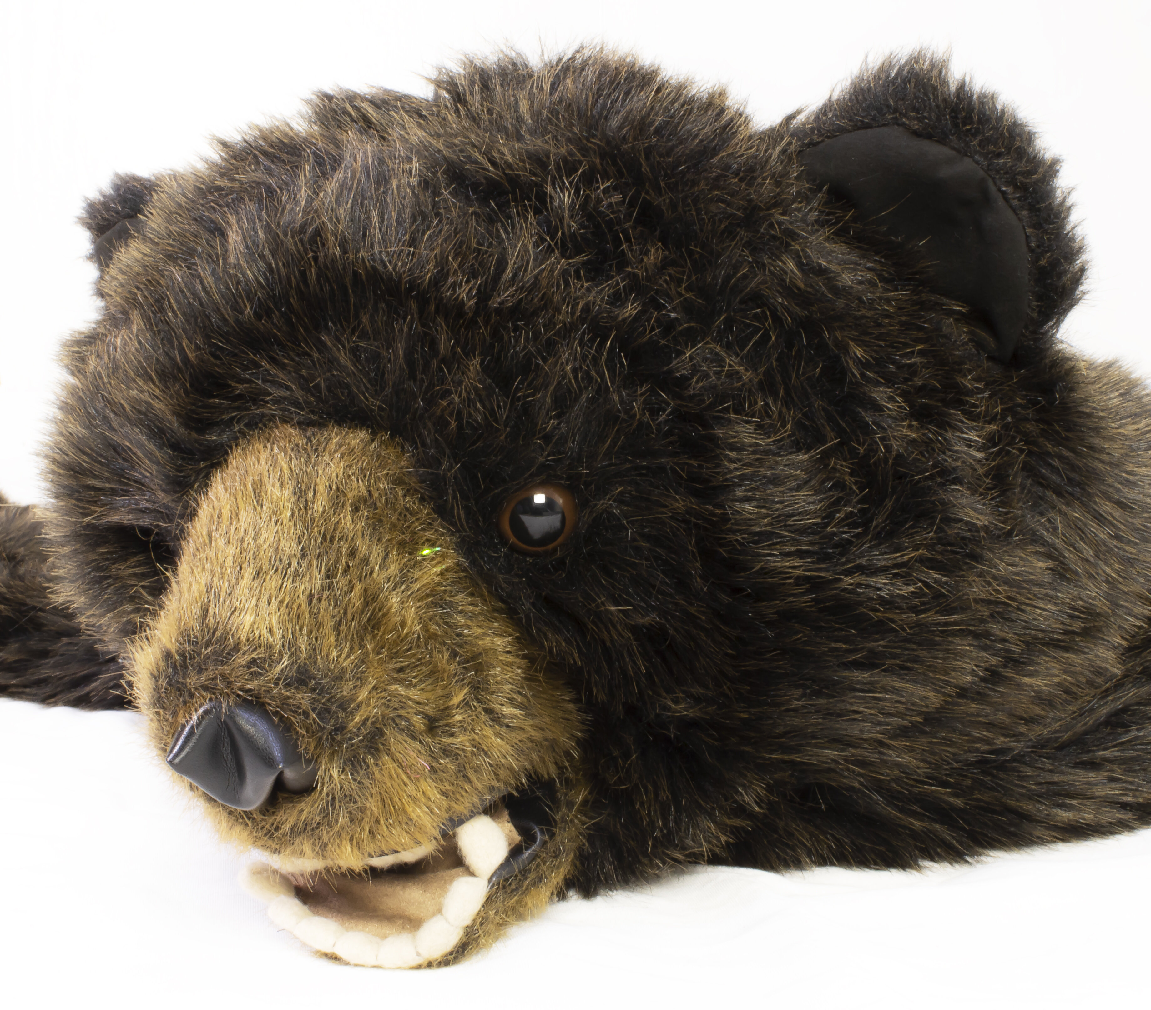 Organic Black Bear Stuffed Animal, 10” Plushie