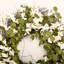 22" Spring Forsythia Eucalyptus Wreath for Front Door-667644991