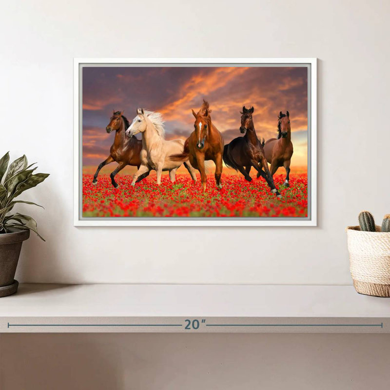 Mustang Horses, Cadre flottant blanc, 13 po x 9 po