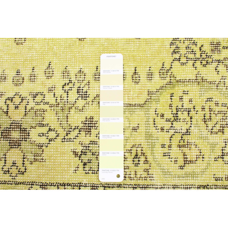 Tapis transitionnel de couleur vert clair / jaune clair 5 pi 10 po x 9 pi 7 po