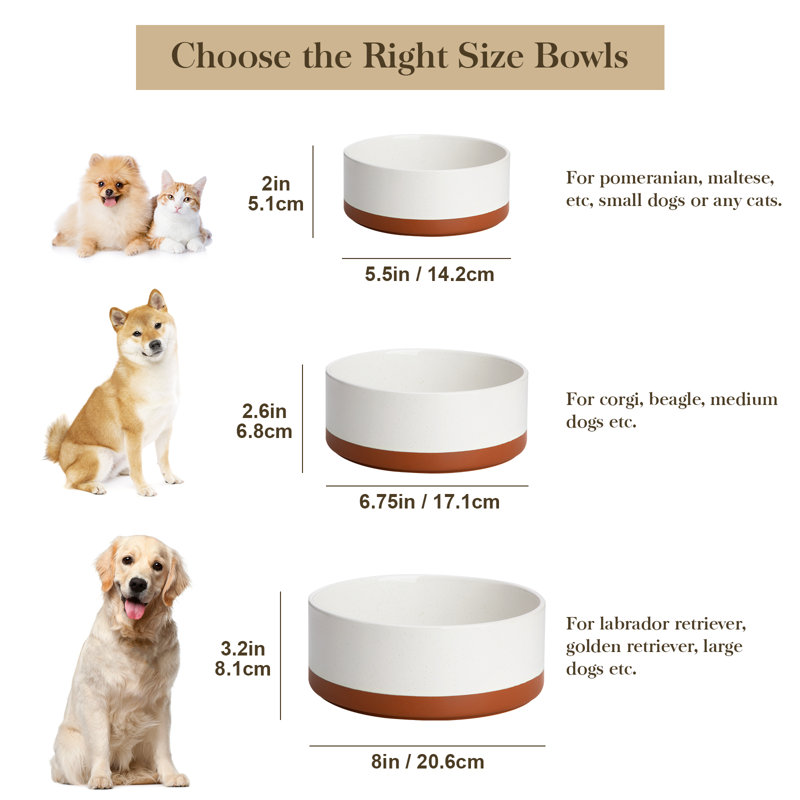 Anti-Skid Pet Bowl, 480ml